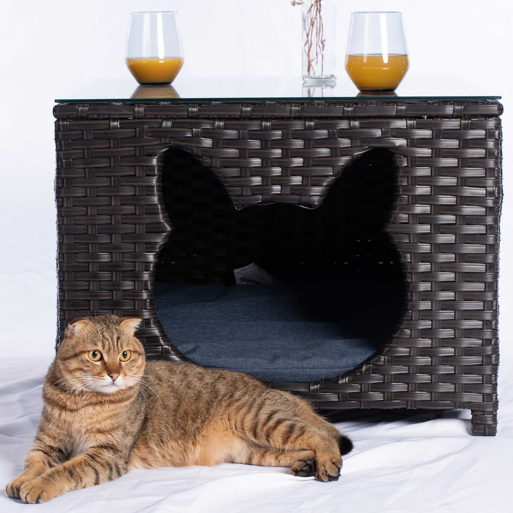 Ovios Pet Coffee Table for GRS/NTC/HOP/NDS Series.